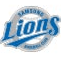 LIONS