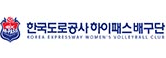 한국도로공사 하이패스배구단
